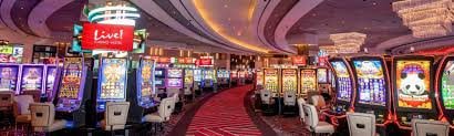 Responsible login and privacy notice for 333bet members